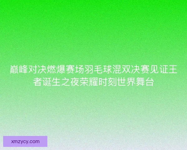 巅峰对决燃爆赛场羽毛球混双决赛见证王者诞生之夜荣耀时刻世界舞台