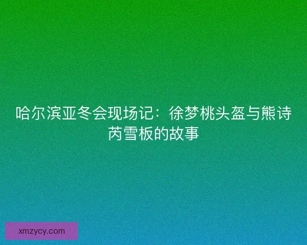 哈尔滨亚冬会现场记：徐梦桃头盔与熊诗芮雪板的故事