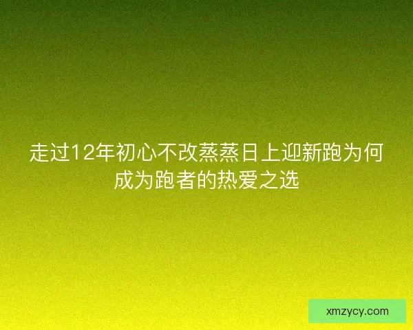 走过12年初心不改蒸蒸日上迎新跑为何成为跑者的热爱之选